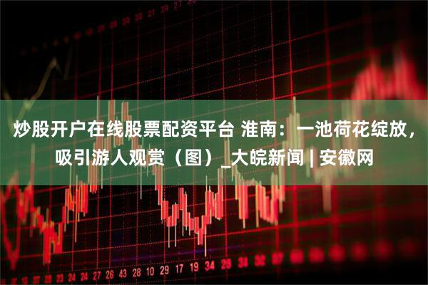 炒股开户在线股票配资平台 淮南：一池荷花绽放，吸引游人观赏（图）_大皖新闻 | 安徽网