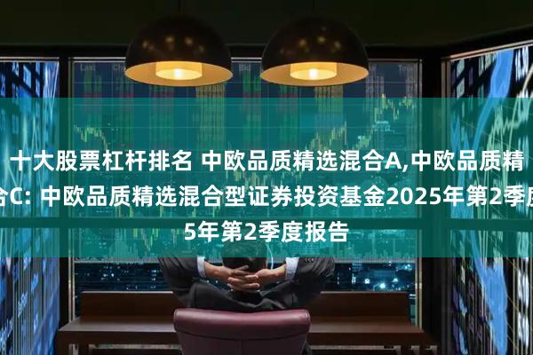 十大股票杠杆排名 中欧品质精选混合A,中欧品质精选混合C: 中欧品质精选混合型证券投资基金2025年第2季度报告